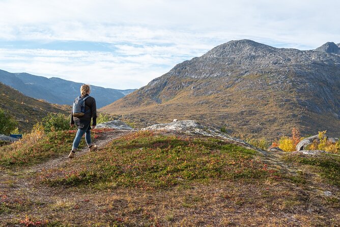 Private Arctic Fjord Roadtrip with Scenic Picnic from Tromso - Why a Private Arctic Fjord Roadtrip Works So Well From Tromsø