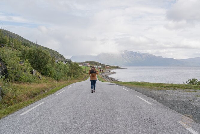 Private Arctic Fjord Roadtrip with Scenic Picnic from Tromso - The Scenic Picnic Break: Light Lunch, Warm Drinks, and a Better Pace