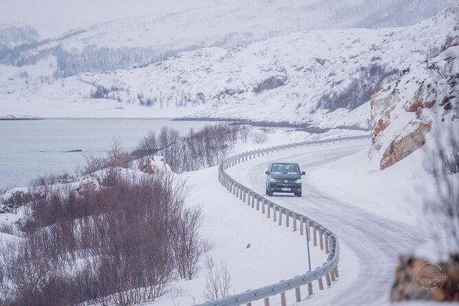 Private Arctic Fjord Roadtrip with Scenic Picnic from Tromso - Wildlife on the Road: How to Spot It Without Turning Into a Problem