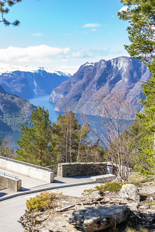 Private Day Tour- Flam Railway & Fjord Cruise From Bergen - What to bring, wear, and avoid on a fjord rail day