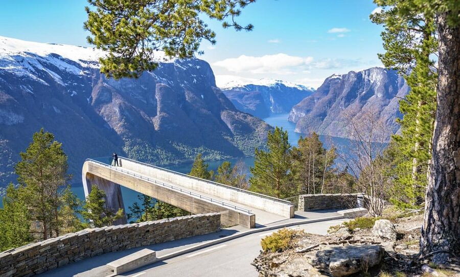 Private Day Tour- Flam Railway & Fjord Cruise From Bergen - Flåmsbane from Myrdal to Flåm: steep, curvy, and worth the hype