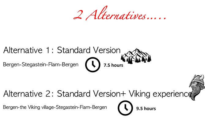 Private Day Tour to Flam and Stegastein - Why Stegastein is the headline of this Bergen day