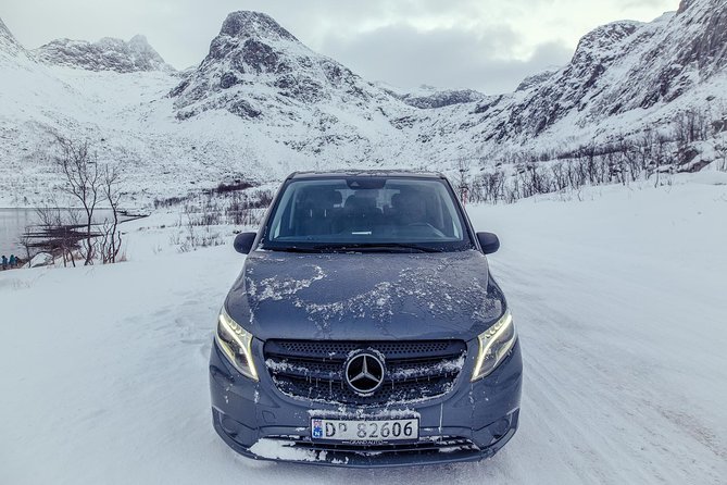 Private fjord tour with premium 4×4 vehicle - Key highlights to look for