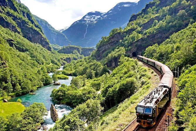 Private Full-Day Round Trip from Oslo to Sognefjord via Flåm Railway - Price and value: is $1,177.58 per person actually worth it?