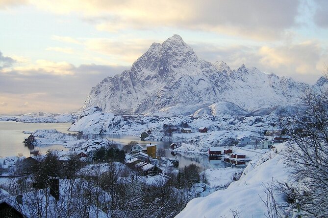 Private Full Day Sightseeing Tour from Svolvær to Å - Nusfjord: old Lofoten fishing village time with included ticket