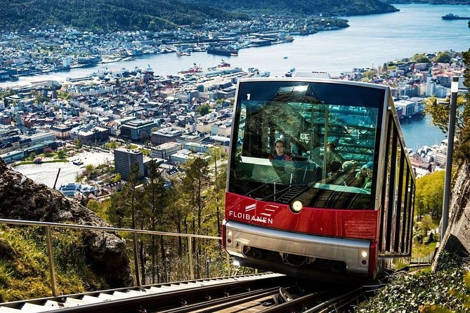 Private Guided City Sightseeing - Bergens Top Attractions - Why This Private Bergen Loop Works Better Than DIY