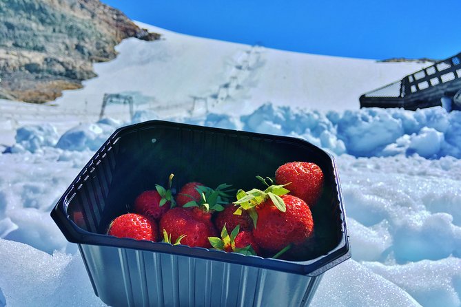 PRIVATE GUIDED TOUR: Folgefonna Glacier roundtrip from Bergen, 8 hours - Climbing into Folgefonna National Park and your glacier time