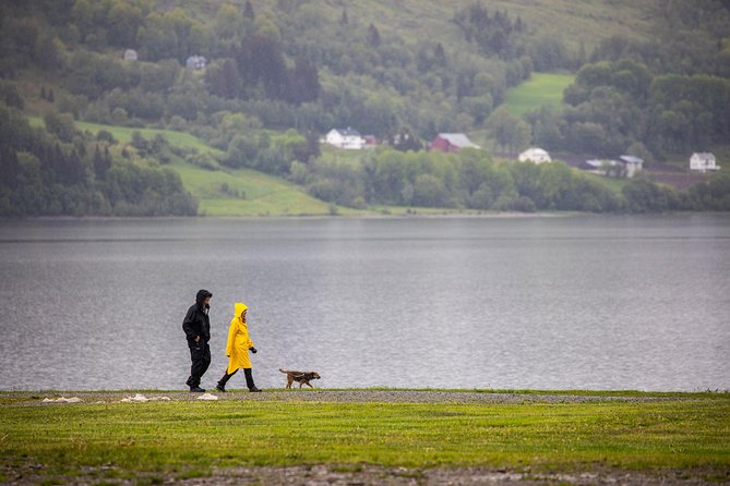 PRIVATE GUIDED TOUR: Norway's Highlights–Viking Special, 11 h - A Private Bergen Day That Feels Like a Road Trip With a Viking Special
