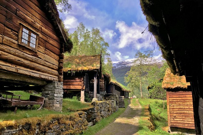 PRIVATE GUIDED TOUR: Norway's Highlights–Viking Special, 11 h - Gudvangen Lunch Time and Njardarheimr Viking Village Activities