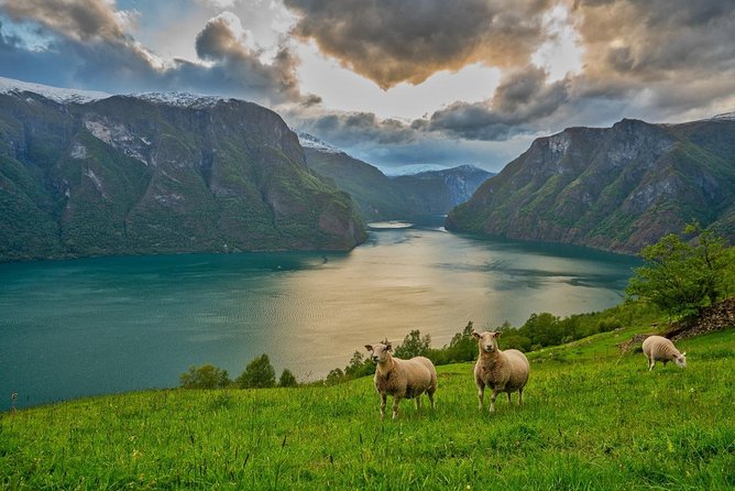 PRIVATE GUIDED TOUR: Norway's Highlights–Viking Special, 11 h - Bergen and the Voss Corridor: Historic Stops Before the Scenery Gets Serious