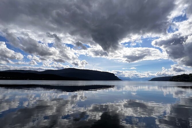 Private Guided Tour of Bergen and the Best of Norwegian Fjords - Key Highlights You Should Know
