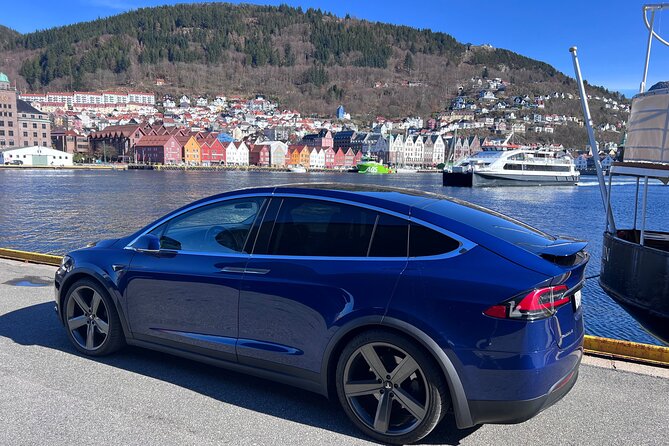Private Guided Tour of Bergen and the Best of Norwegian Fjords - Steinstøberget Photo Stop and Steinsdalsfossen, Where You Walk Behind the Water