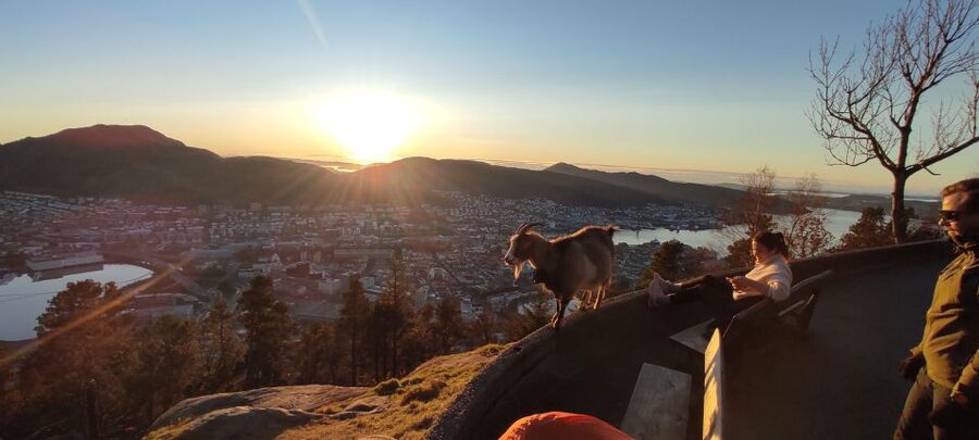 Private hiking tour Bergen mountains like a local - Starting at Torgeir Timenes Bell, then gliding up by funicular