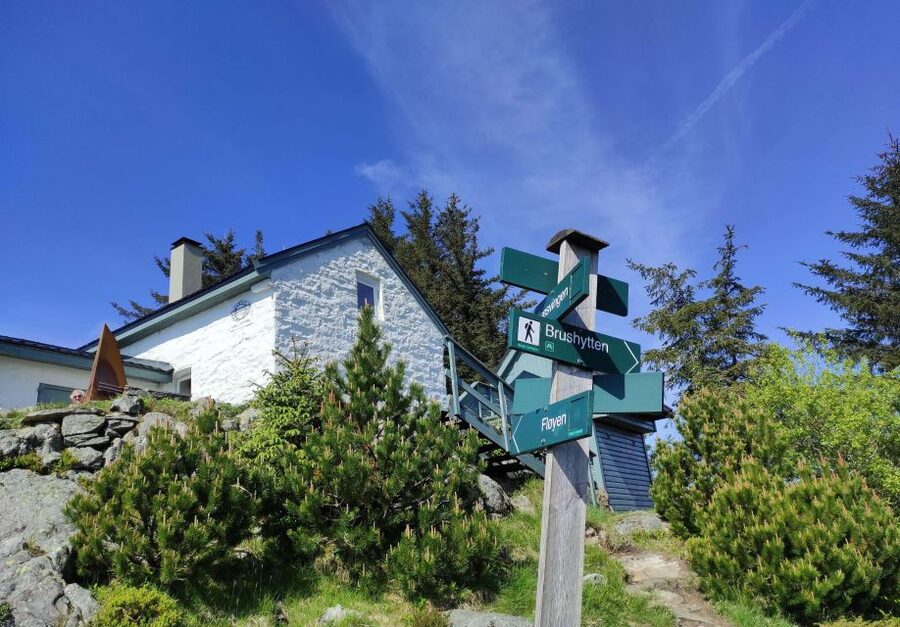 Private hiking tour Bergen mountains like a local - Why private guiding changes everything in Bergen mountains