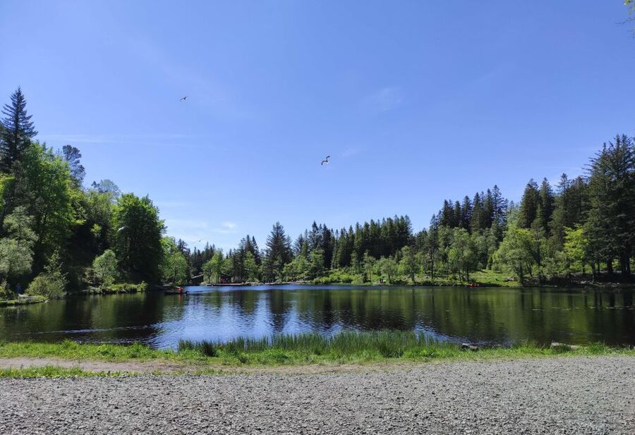 Private hiking tour Bergen mountains like a local - Price and value: $314 for up to 2 people, and what you get for it