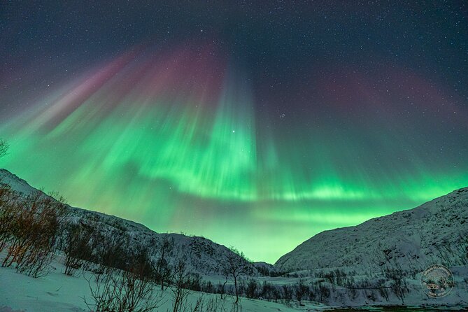 Private Northern Lights Chase with Photography from Tromsø - Timing, driving, and why 6 to 9 hours makes sense
