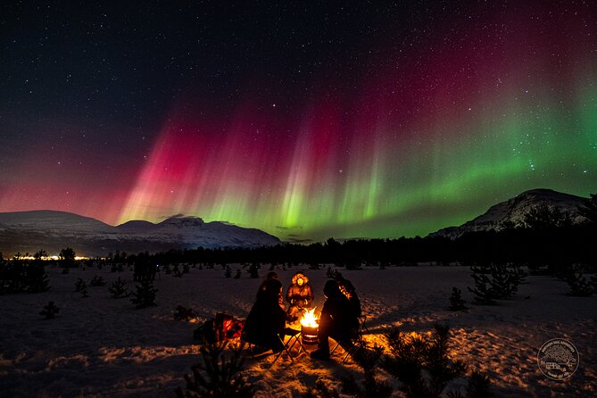 Private Northern Lights Chase with Photography from Tromsø - Who this private northern lights chase fits best
