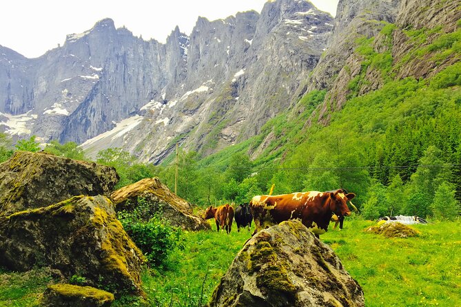 Private shore excursions Ålesund Trollstigen-Trollroad in small (1-4)groups - Who Should Book This Trollstigen-Troll Road Private Excursion