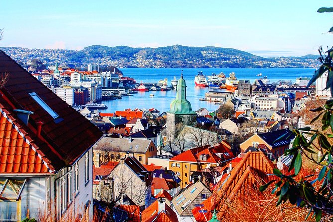 PRIVATE TOUR: Bergen city sightseeing, 3 hours - Gamlehaugen grounds and royal context: seeing the Royal residence area