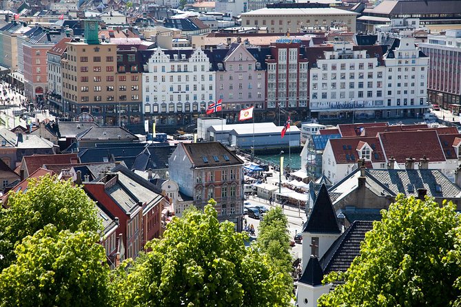 PRIVATE TOUR: Bergen city sightseeing, 3 hours - Bymuseet i Bergen (Old Bergen Museum): the town inside a town