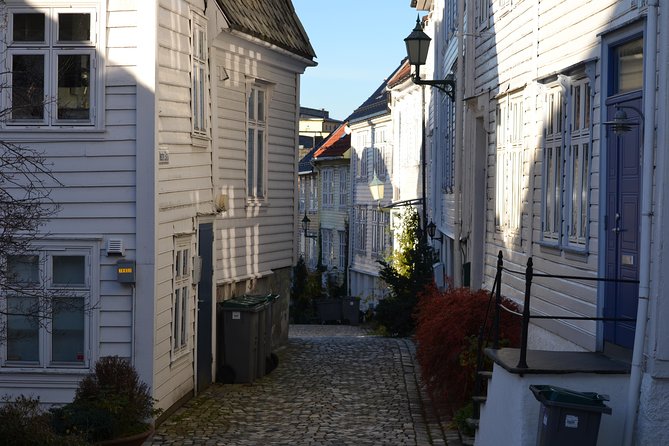 PRIVATE TOUR: Bergen city sightseeing, 3 hours - Timing and pacing tips so the 3 hours do not slip away