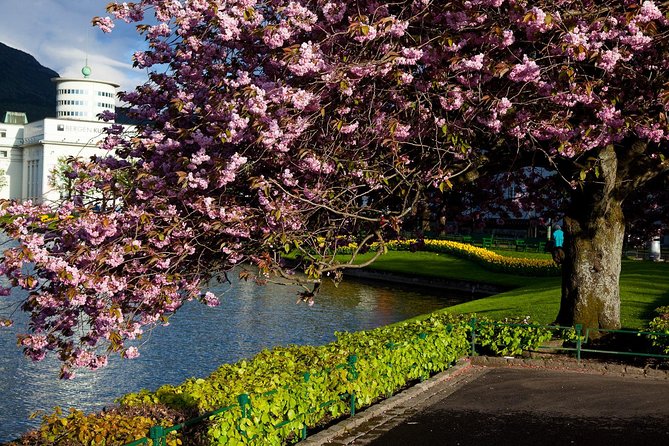 PRIVATE TOUR: Bergen city sightseeing, 5 hours - Fløyen and the Funicular: Getting Oriented in 45 Minutes