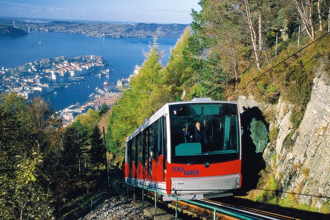 PRIVATE TOUR: Bergen city sightseeing, 5 hours - Your Second-Half Choice: Grieg, Old Bergen, Fantoft, or a Custom Twist