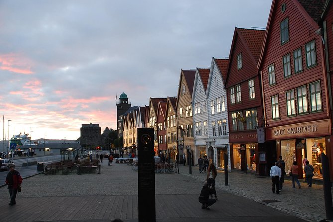 PRIVATE TOUR: Bergen city sightseeing, 5 hours - Gamlehaugen: Seeing the Royal Residence Area Without House Entry