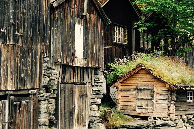 Private tour from Ålesund to Geiranger up to 15 people - Why Ålesund to Geiranger feels like a highlight day