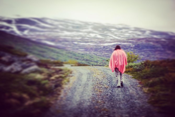 Private tour Geiranger and Glaciers 1 to 15 people - A private day that strings Geiranger Fjord to Briksdalbreen