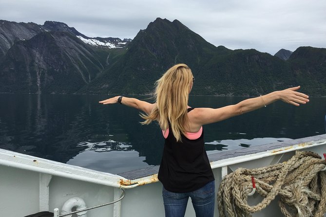 Private tour Geiranger and Glaciers 1 to 15 people - Stop 3: Briksdalbreen glacier time, plus Troll car access