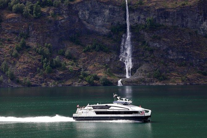 Private tour - Viking Village, Nærøyfjord Cruise & Flåm Railway - Aurlandsfjord and Flåm: where the scenery meets station life