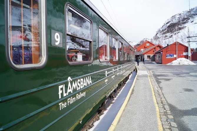 Private tour - Viking Village, Nærøyfjord Cruise & Flåm Railway - Myrdal station connection and the short Vossvangen break