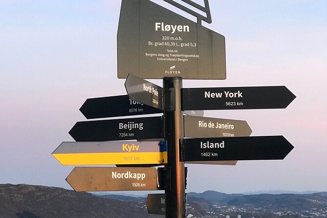 Private Walking Tour- Bergen Classics - What it feels like on the ground: guides, stories, and real tips