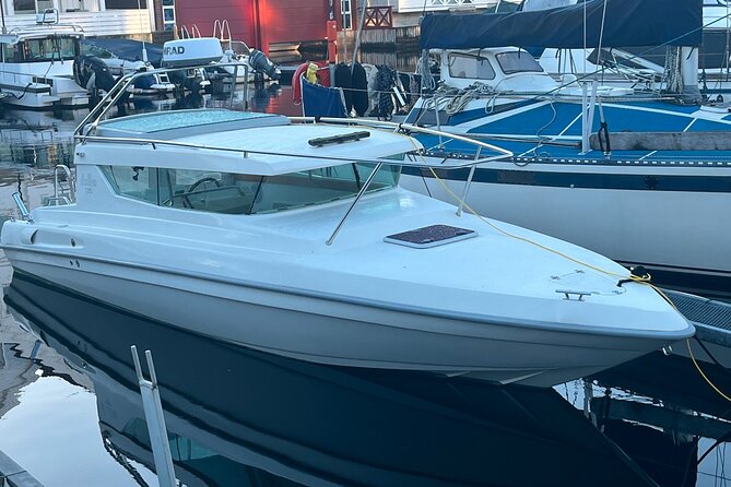 Pulpit Rock Boat Tour in Luxury Cruiser - The vibe: a luxury cruiser that stays personal