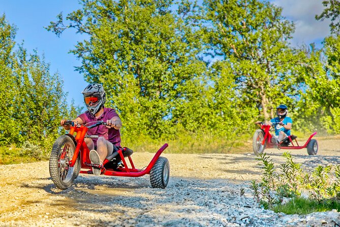 Racing Mountain Cart in Dagali near Geilo, Norway - Value at $48.88: Is It Worth Paying for Up to 8 Runs?