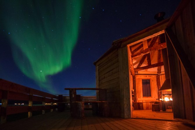 Reindeer Camp Dinner with Chance of Northern Lights in Tromso - Feeding reindeer in the Arctic night, up close