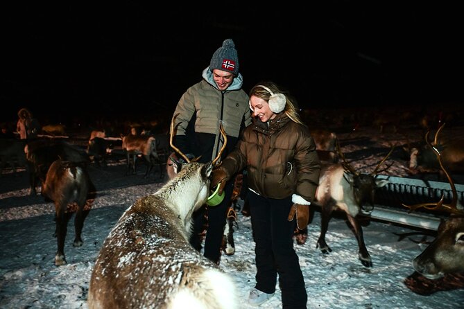 Reindeer Camp Dinner with Chance of Northern Lights in Tromso - Northern Lights chance: how to set expectations