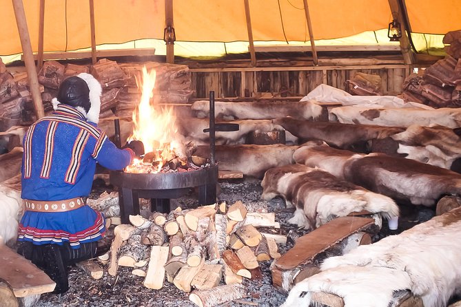 Reindeer Feeding and Sami Culture Including Lunch from Tromso - Group Size and How It Changes Your Experience