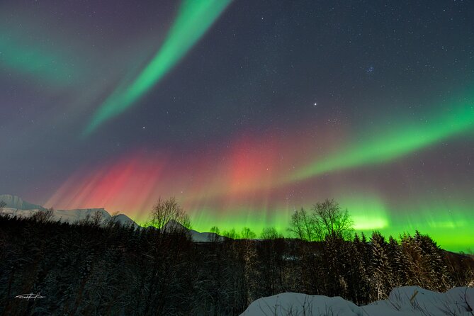 Reindeer Feeding and Sledding, Sami Storytelling Night Tour - Reindeer sledding plus lasso throwing: fun, active, and family-friendly