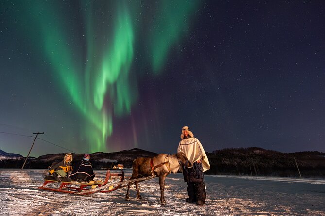 Reindeer Feeding and Sledding, Sami Storytelling Night Tour - The lavvu dinner and Sami storytelling: where the evening turns meaningful
