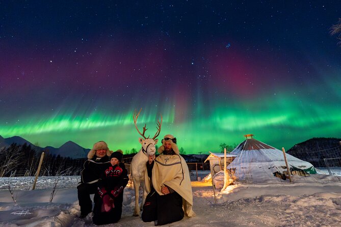 Reindeer Feeding and Sledding, Sami Storytelling Night Tour - Price and logistics: is $226 good value for this specific combo?