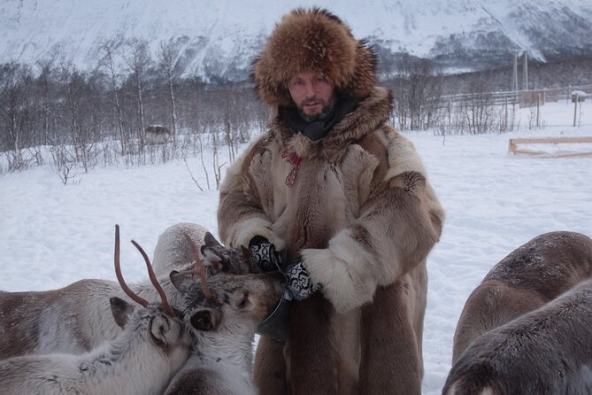 Reindeer feeding & Saami Culture - Reindeer stew and hot drinks: what to expect from the meal