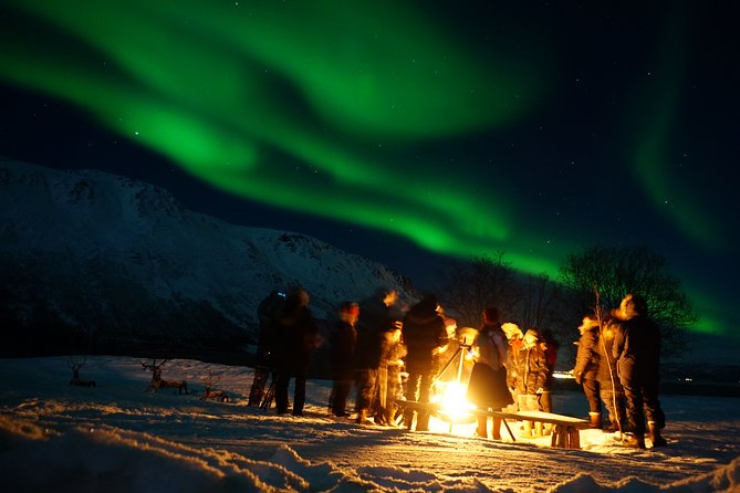 Reindeer feeding & Saami Culture with chance for Northern Lights - Tromsø pickup at 6:00 pm, then a minibus ride that sets expectations