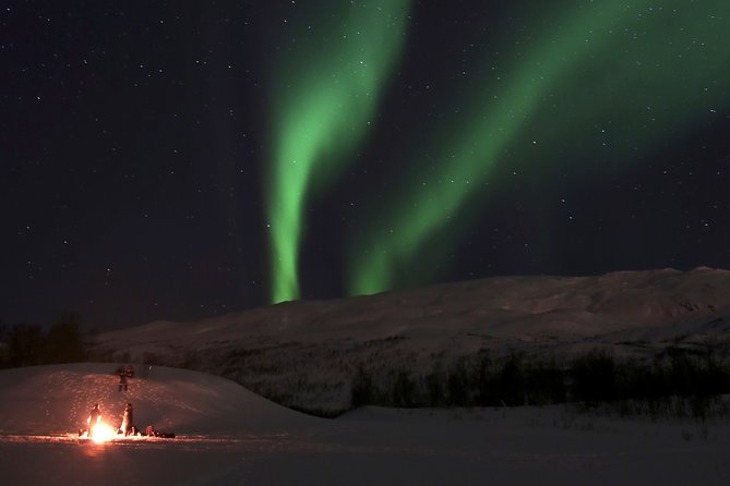 Reindeer feeding & Saami Culture with chance for Northern Lights - Who should book this, and who might skip it