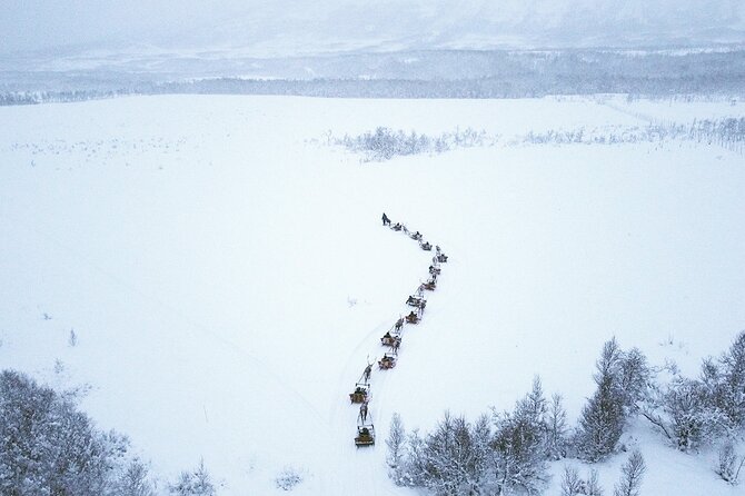 Reindeer Sledding and Feeding with Sami Culture in Tromso. - Quick highlights you will actually care about