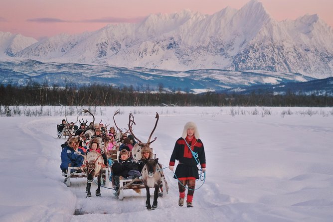 Reindeer Sledding and Feeding with Sami Culture in Tromso. - Getting there from Tromsø: shared transfer, real timing, not guesswork
