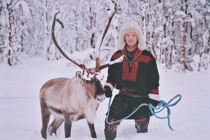 Reindeer Sledding and Feeding with Sami Culture in Tromso. - The sled ride: expect 30 minutes if conditions allow it
