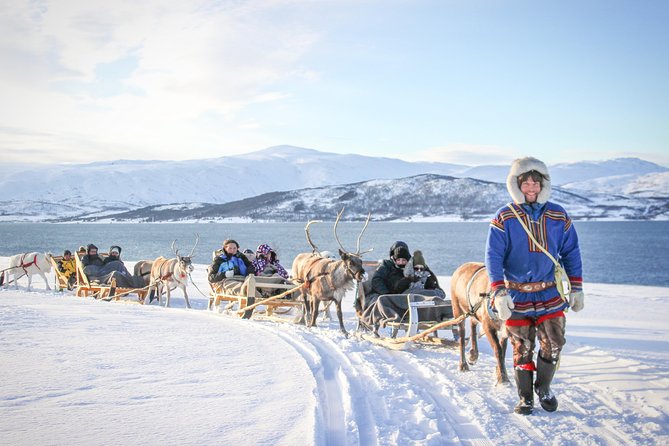Reindeer Sledding Experience and Sami Culture Tour from Tromso - Key Things To Know Before You Go
