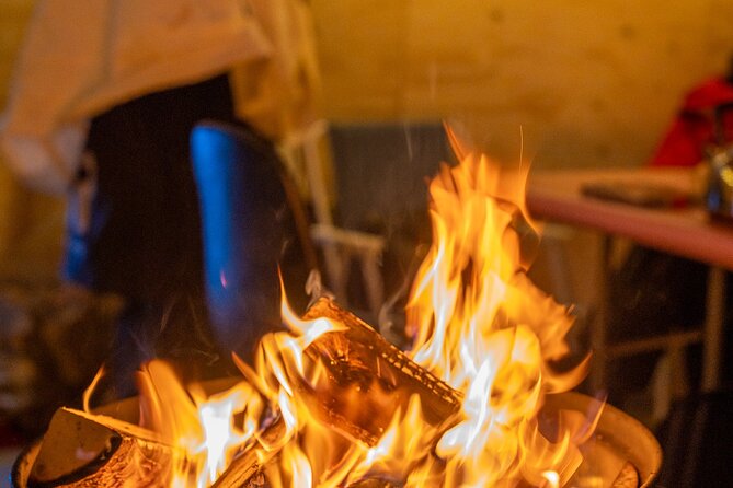 Reindeer Sledding, Feeding And Sami Culture At Reindeer Farm - Key things you should know before you go